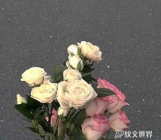 分手文案短句 | 下次見面，談笑風生，不動情